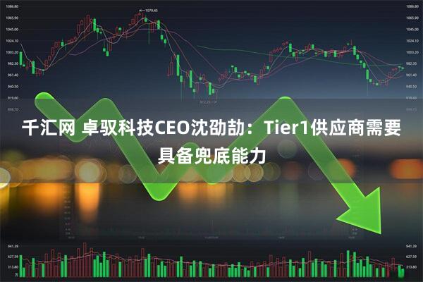 千汇网 卓驭科技CEO沈劭劼：Tier1供应商需要具备兜底能力