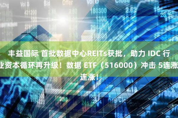 丰益国际 首批数据中心REITs获批，助力 IDC 行业资本循环再升级！数据 ETF（516000）冲击 5连涨！