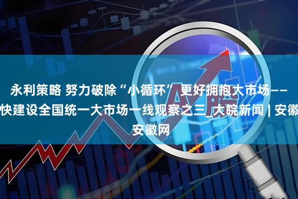 永利策略 努力破除“小循环” 更好拥抱大市场——加快建设全国统一大市场一线观察之三_大皖新闻 | 安徽网