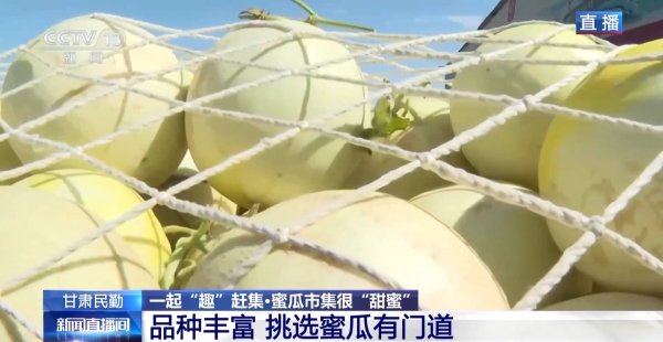 银铺子配资 一颗瓜带火一条产业链 甘肃民勤的蜜瓜还有这些新吃法